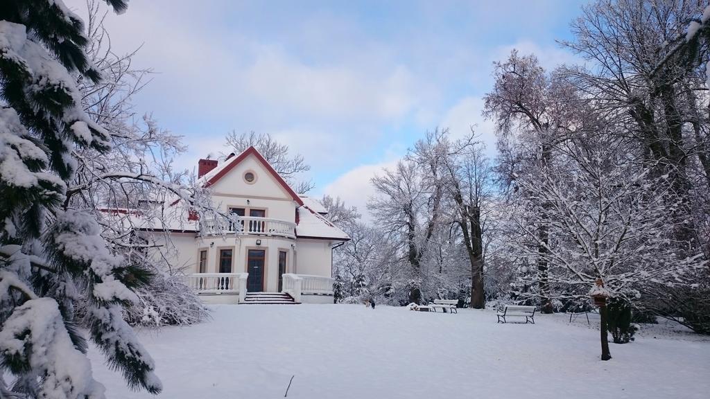 Dwor Osmolice Bed and Breakfast Bialki Dolne Buitenkant foto