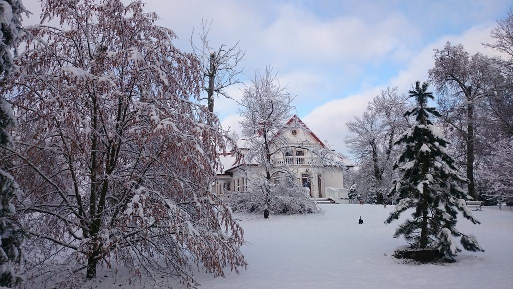 Dwor Osmolice Bed and Breakfast Bialki Dolne Buitenkant foto