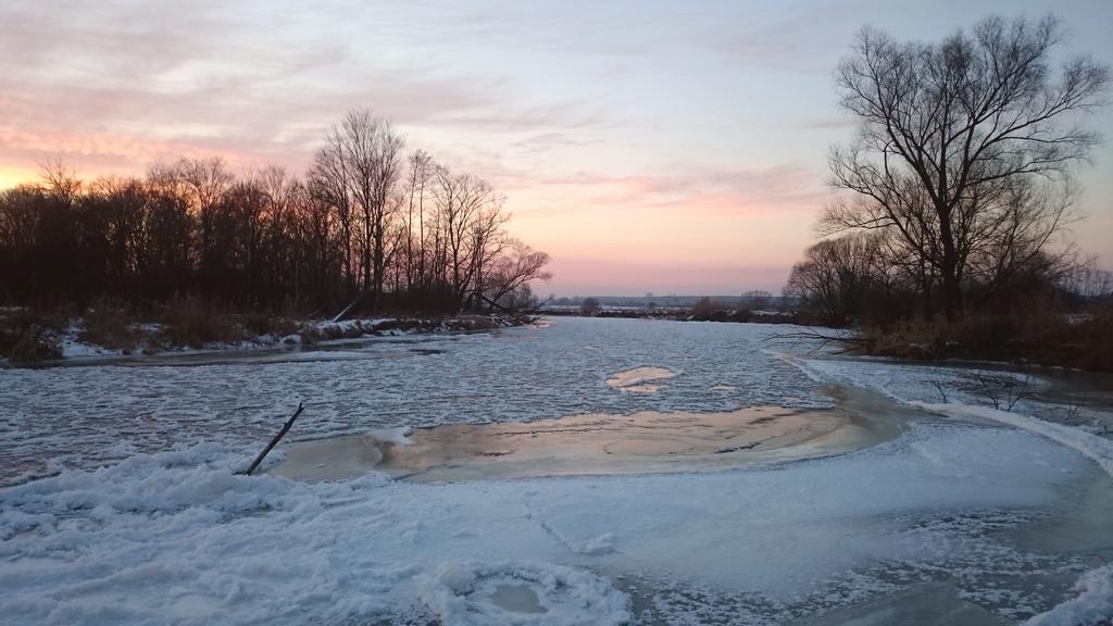 Dwor Osmolice Bed and Breakfast Bialki Dolne Buitenkant foto