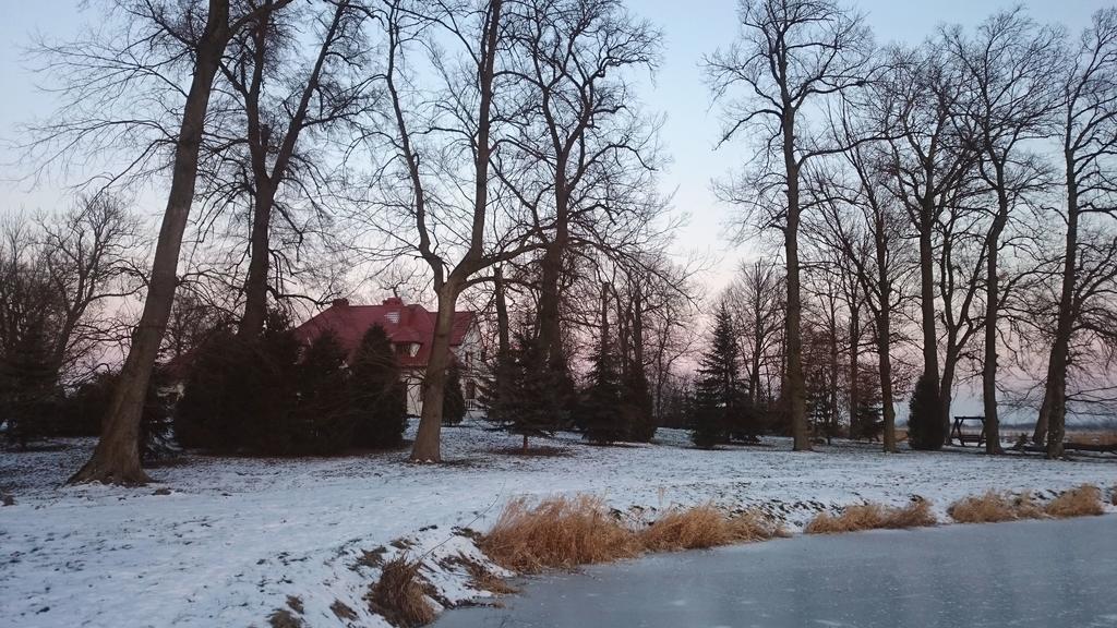 Dwor Osmolice Bed and Breakfast Bialki Dolne Buitenkant foto