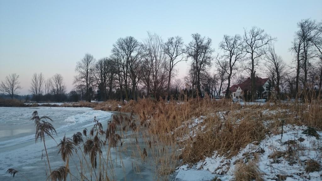 Dwor Osmolice Bed and Breakfast Bialki Dolne Buitenkant foto