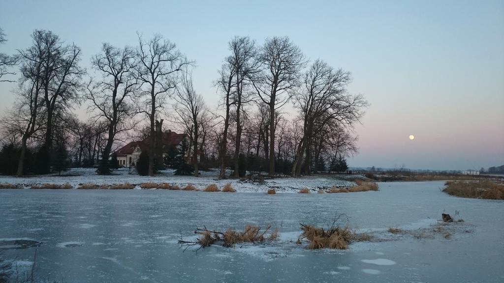 Dwor Osmolice Bed and Breakfast Bialki Dolne Buitenkant foto