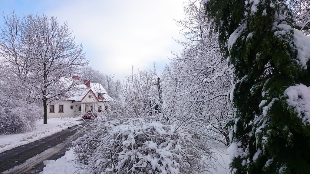 Dwor Osmolice Bed and Breakfast Bialki Dolne Buitenkant foto