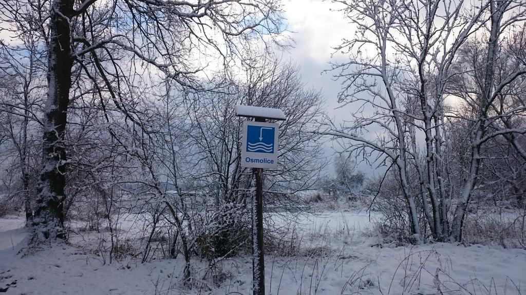 Dwor Osmolice Bed and Breakfast Bialki Dolne Buitenkant foto