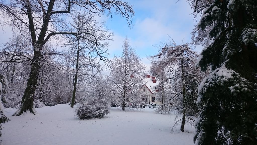 Dwor Osmolice Bed and Breakfast Bialki Dolne Buitenkant foto