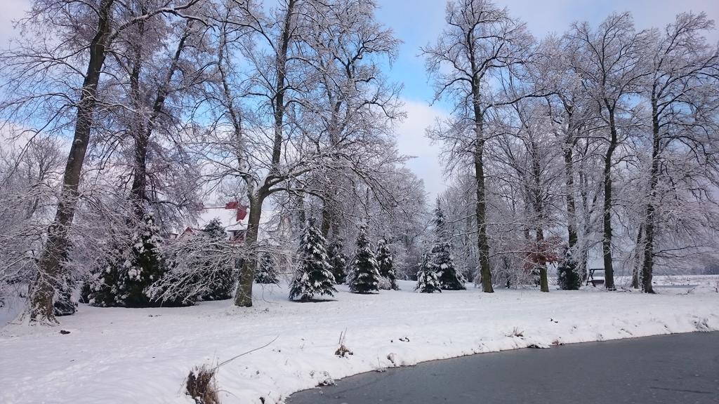 Dwor Osmolice Bed and Breakfast Bialki Dolne Buitenkant foto